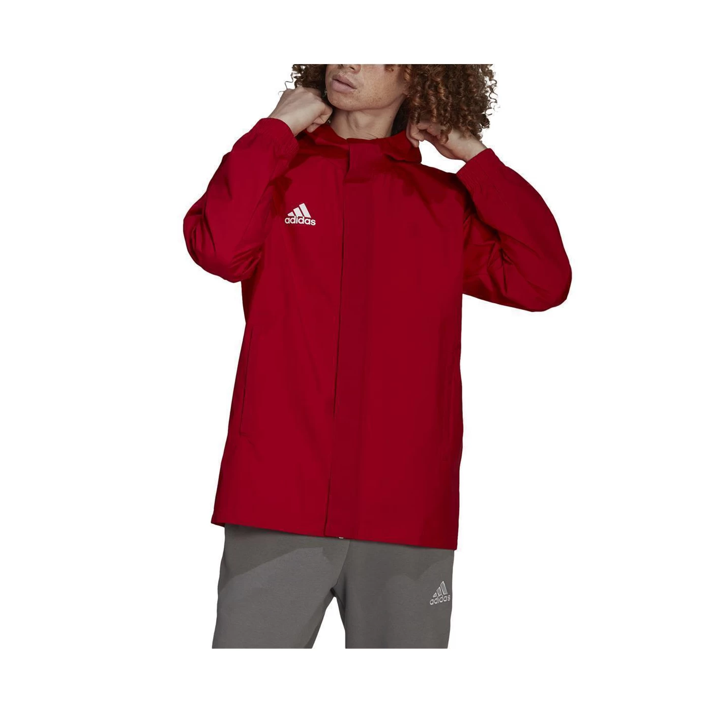 Adidas Entrada 22 Allwetterjacke Herren - HG6299-v – Bild 3