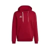 Adidas Entrada 22 Kapuzenpullover Baumwolle Herren - H57514