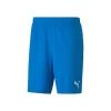 Puma TeamGOAL 23 Knit Shorts Herren - 704262_02