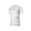 Puma TeamULTIMATE Trikot Herren - 704389-04